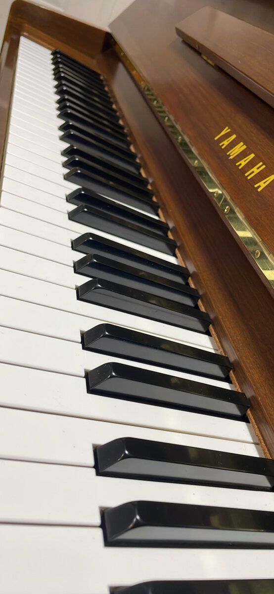 Keyboard seen along the keys