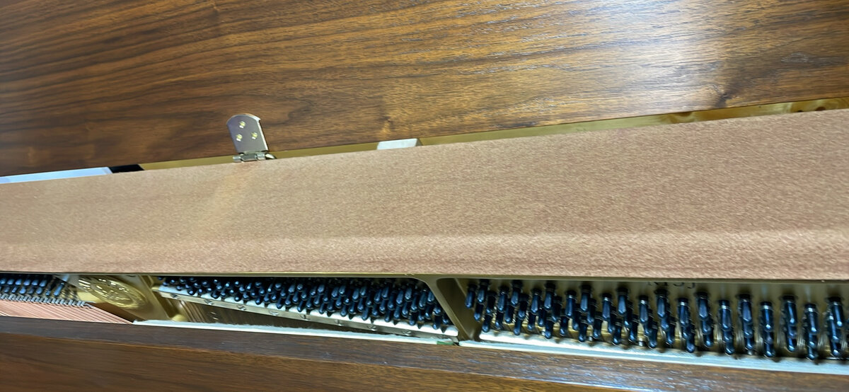 Action seen under the damper rail